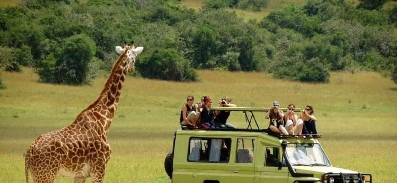 Game drive in Tarangire 