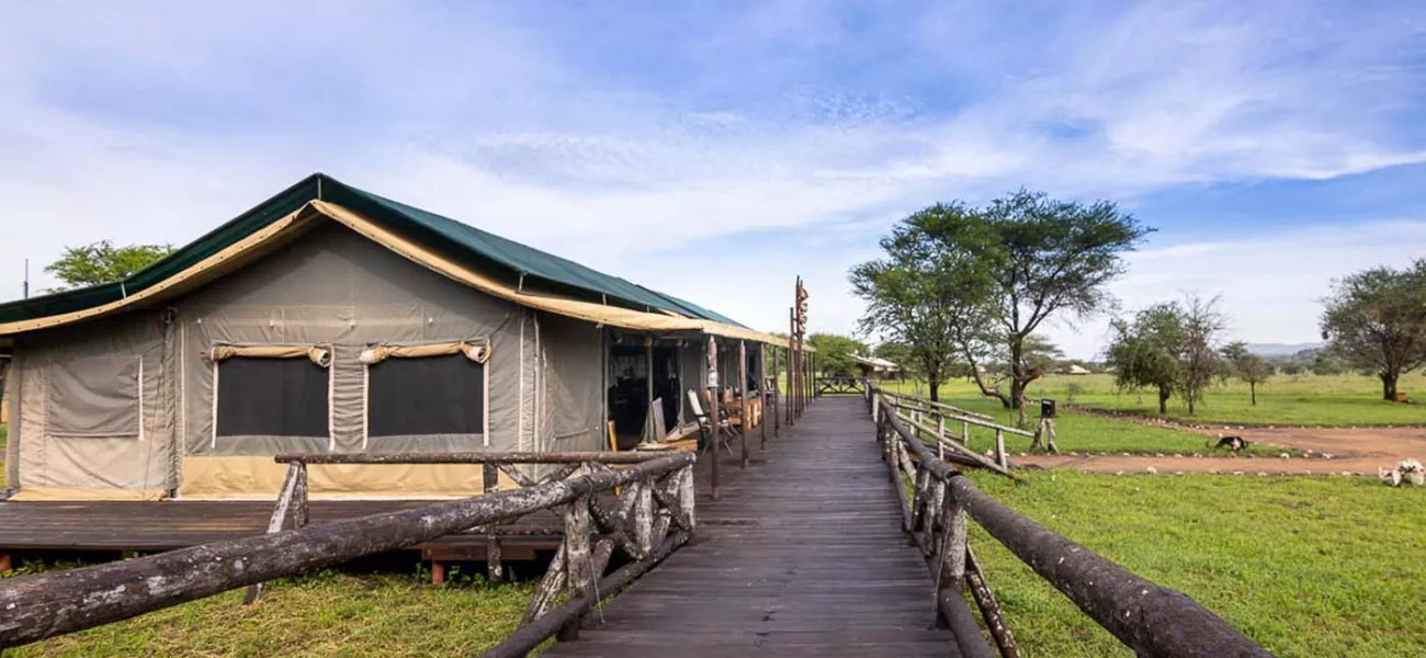 Tanzania Bush Luxury Bush Camp