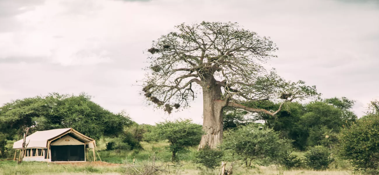 tarangire tortilis camp