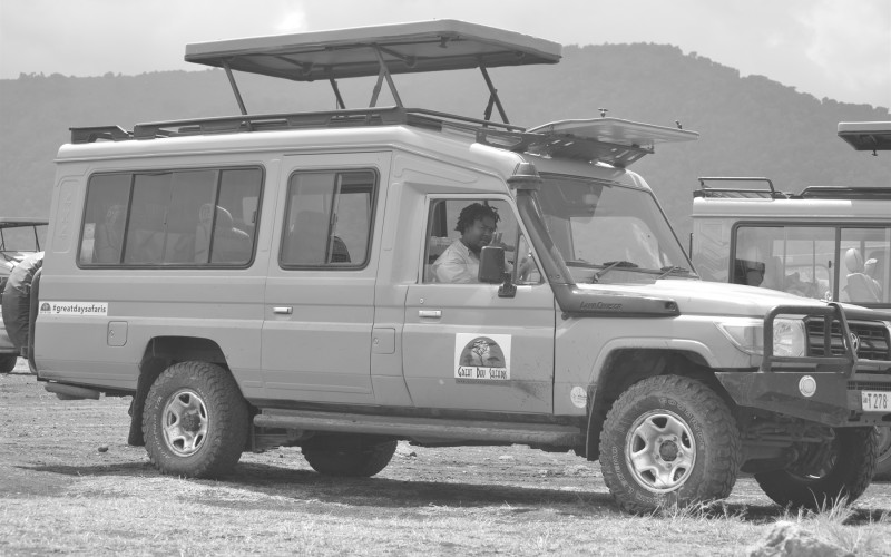 Kenya safaris